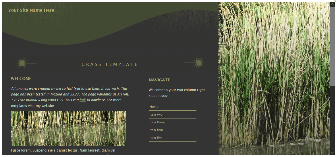 Proyecto web NodoX Labs